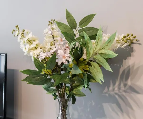 شقة Family Rataje By Renters *